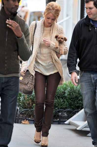 DOLCE & GABBANA MISS SICILT BLAKE LIVELY PUPPY DOLCE GABBANA MISS SICILT BLAKE LIVELY PUPPY Dolce & Gabbana Miss Sicily